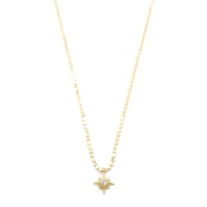 Ezme Zincir Yıldız Kolye - Altın