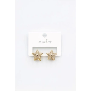 Yıldız Küpe - Altın