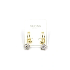 Yıldız Taşlı Küpe - 14K Altın