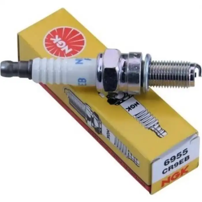 NGK-6955 CR9EB Nikel Buji