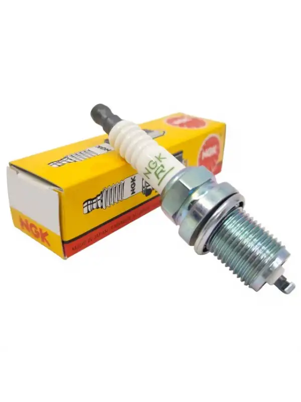 NGK 4855 DR8EB Nikel Buji