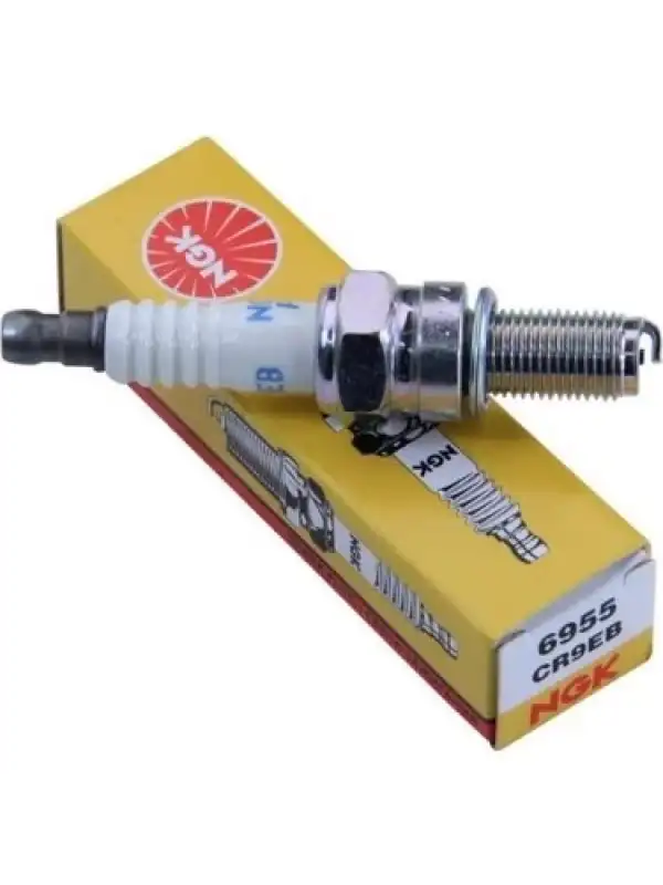 NGK-6955 CR9EB Nikel Buji