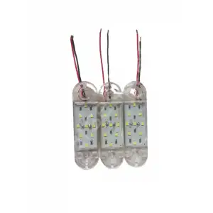 9 Ledli Tombul ( 3 adet )