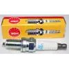 NGK 3481 DCPR6E Nikel Buji