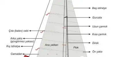 Yelken Dünyasına Giriş: Yelkencilik Terimleri Rehberi