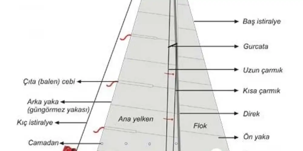 Yelken Dünyasına Giriş: Yelkencilik Terimleri Rehberi