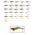 Captain 3014 Kalamar Zokası 12cm Crazy Squid Size 3.5  105