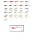 Captain 3014 Kalamar Zokası 12cm Crazy Squid Size 3.5  128