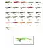 Captain 3014 Kalamar Zokası 12cm Crazy Squid Size 3.5  131