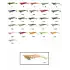 Captain 3014 Kalamar Zokası 12cm Crazy Squid Size 3.5  137