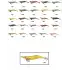 Captain 3014 Kalamar Zokası 12cm Crazy Squid Size 3.5  138