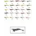 CAPTAİN 3014 KALAMAR ZOKASI 12CM CRAZY SqUİD SİZE 3.5  142