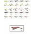 Captain 3014 Kalamar Zokası 12cm Crazy Squid Size 3.5 143