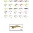 Captain 3014 Kalamar Zokası 12cm Crazy Squid Size 3.5  156