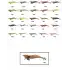 Captain 3014 Kalamar Zokası 12cm Crazy Squid Size 3.5 160