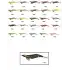 Captain 3014 Kalamar Zokası 12cm Crazy Squid Size 3.5  162