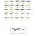 Captain 3014 Kalamar Zokası 12cm Crazy Squid Size 3.5  164