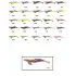 Captain 3014 Kalamar Zokası 12cm Crazy Squid Size 3.5  167