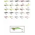 Captain 3014 Kalamar Zokası 12cm Crazy Squid Size 3.5  168