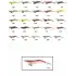 Captain 3014 Kalamar Zokası 12cm Crazy Squid Size 3.5  172