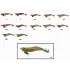 Captain 3017 Kalamar Zokası 10cm Wanted UV Squid Size 2.5  14