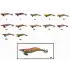 Captain 3017 Kalamar Zokası 10cm Wanted UV Squid Size 2.5  56