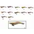 Captain 3017 Kalamar Zokası 10cm Wanted UV Squid Size 2.5  78
