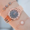 Rosegold Metal Kordon Kadın Saat Kombini 1464