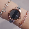 Silver Rose Mıknatıslı Hasır Kordon Kadın Saat Kombini 9315
