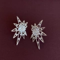 Tasarım Silver Kutup Yıldızı Küpe