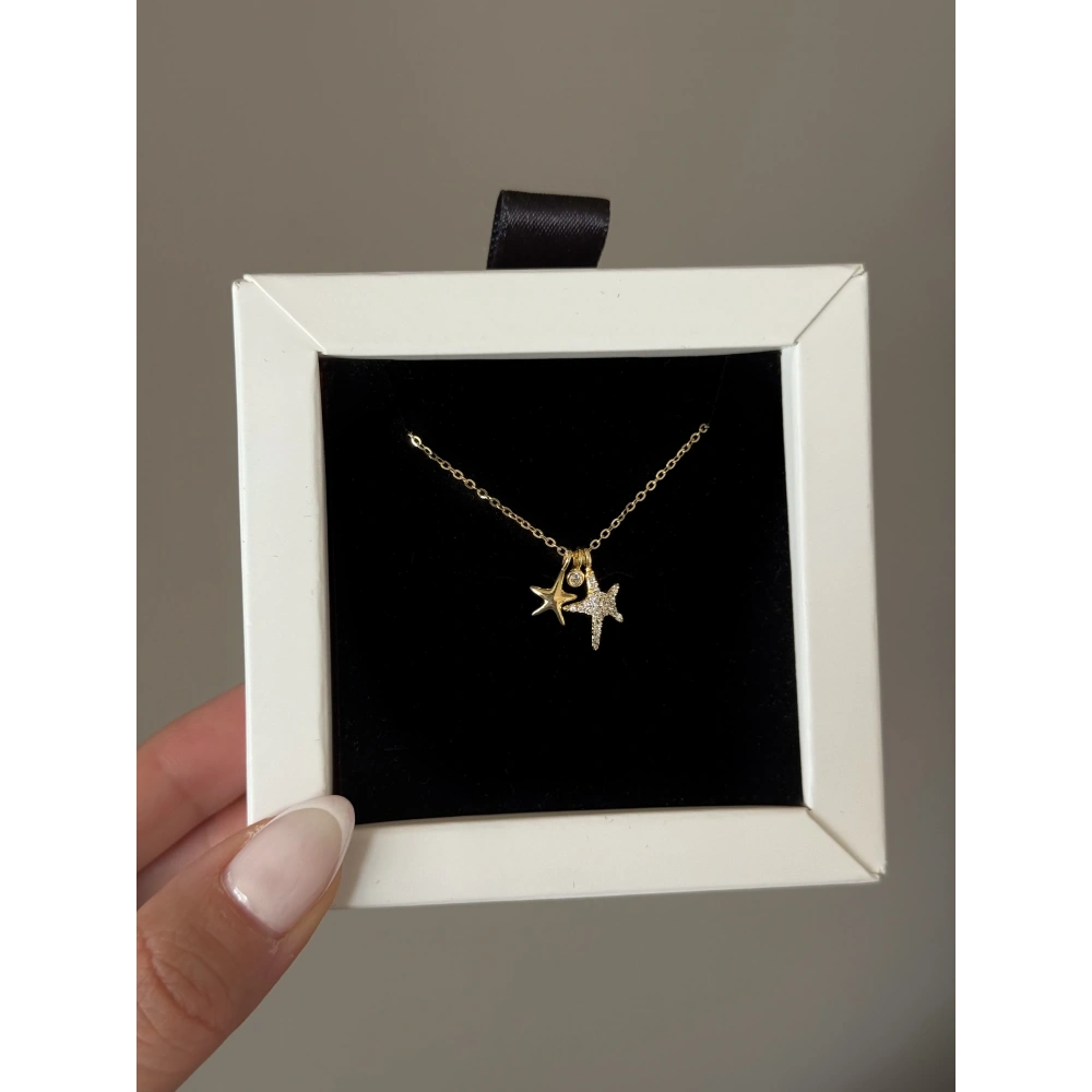 925 Ayar Gümüş Deniz Yıldızlı Kolye