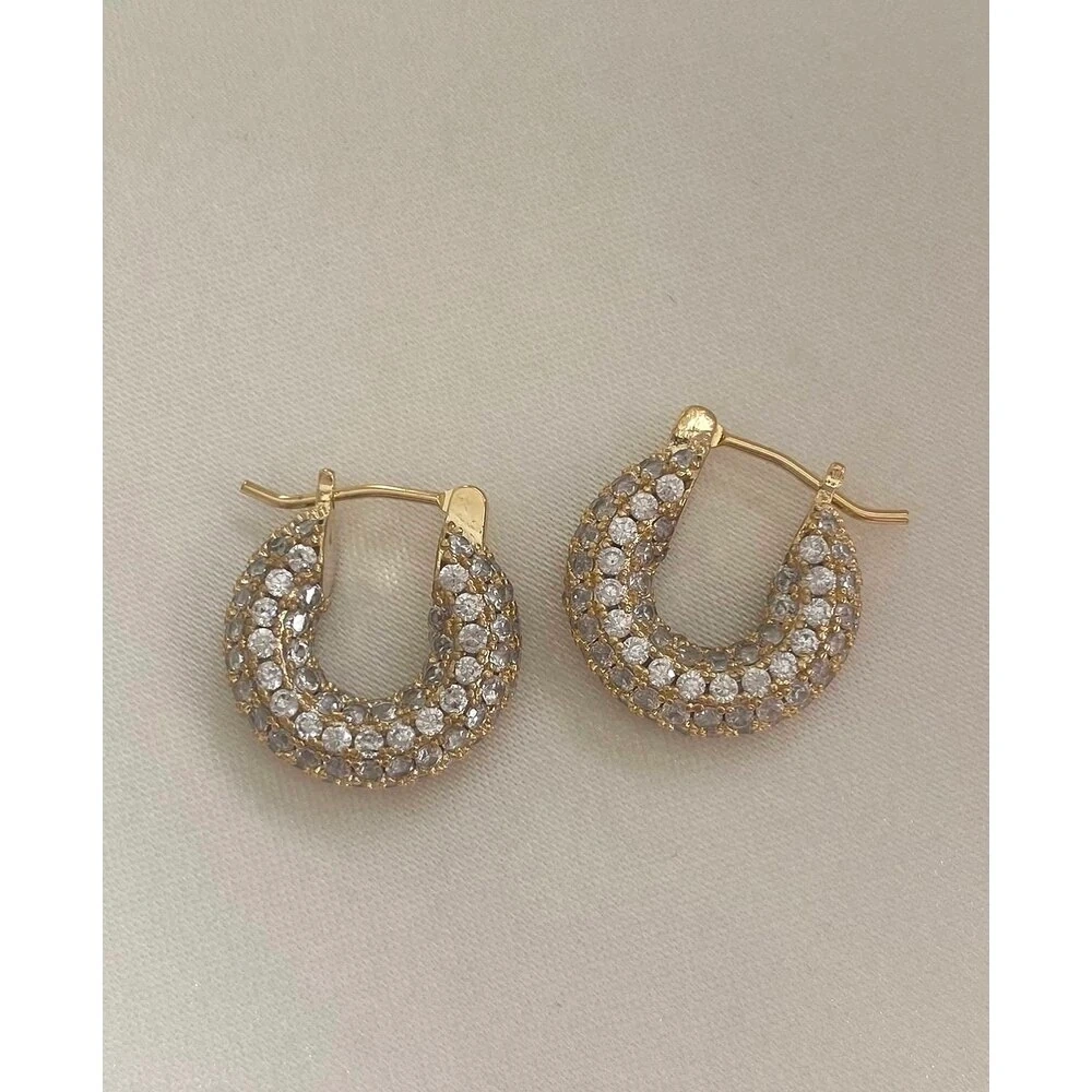 925 Ayar Gümüş İğneli Taşlı Halka Küpe