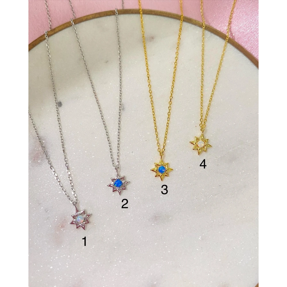 925 Ayar Gümüş Minimal Kutup Yıldızlı Kolye