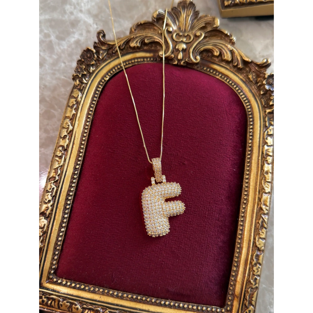 Çelik Hailey F Harfli Kolye