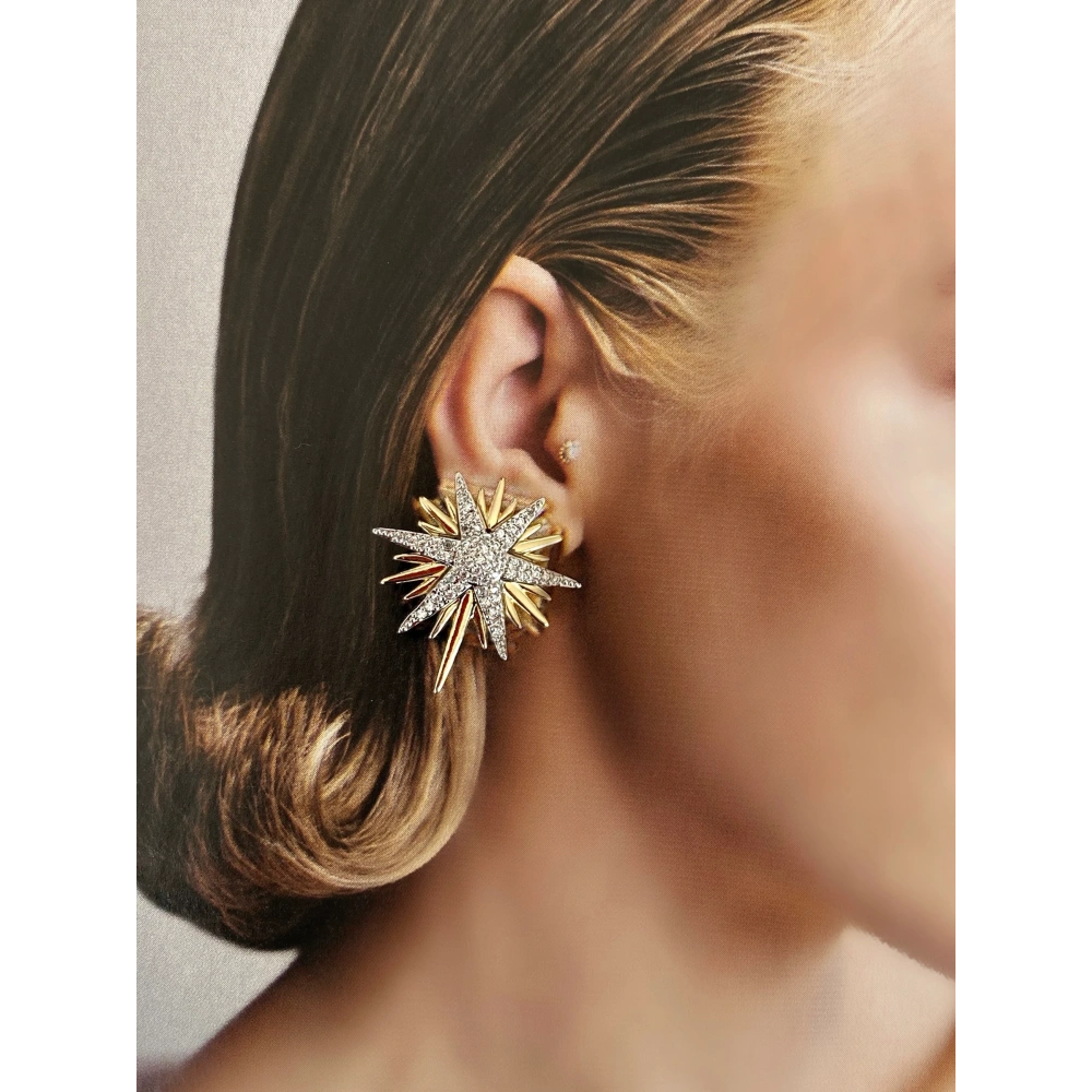 Çelik Kutup Yıldızı Küpe