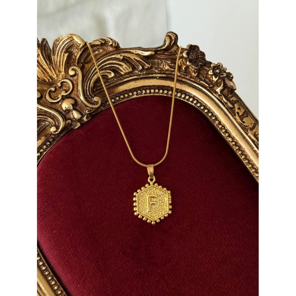 Çelik Plaka F Harfli Kolye