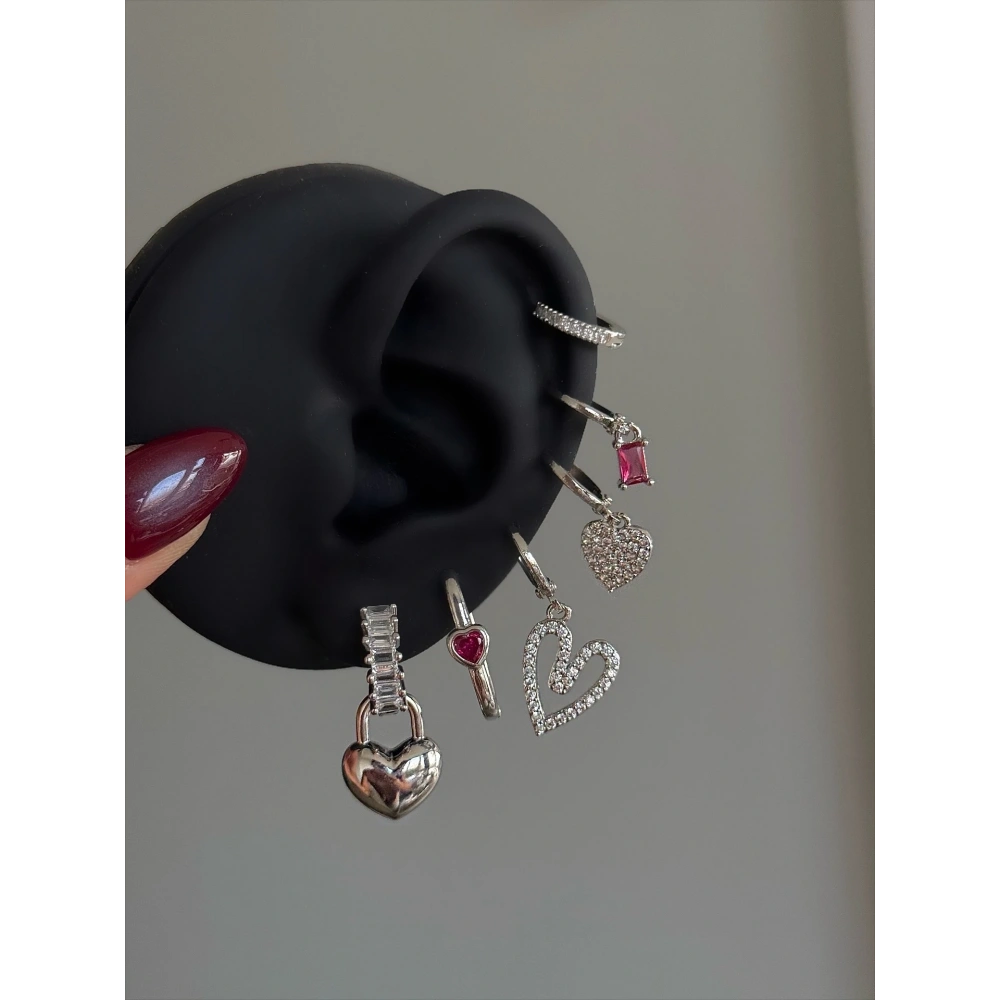 Çelik Silver Koyu Pembe Kalpli 6 Lı Küpe Seti