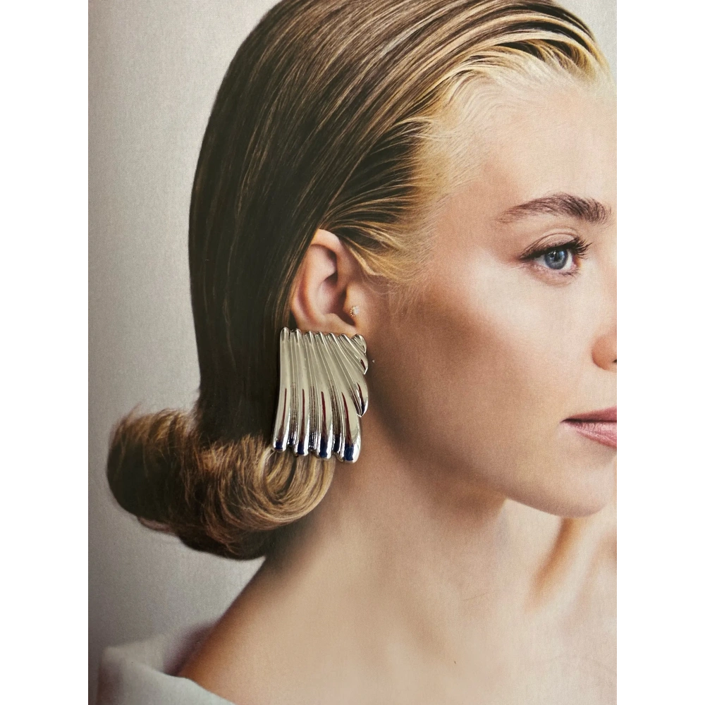 Çelik Silver Plaka Küpe