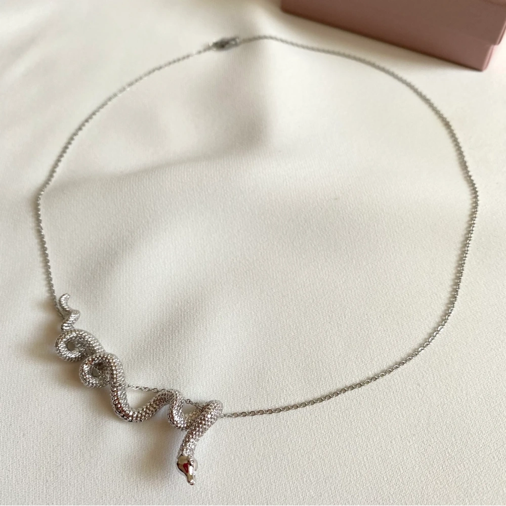 Çelik Silver Yılan Kolye