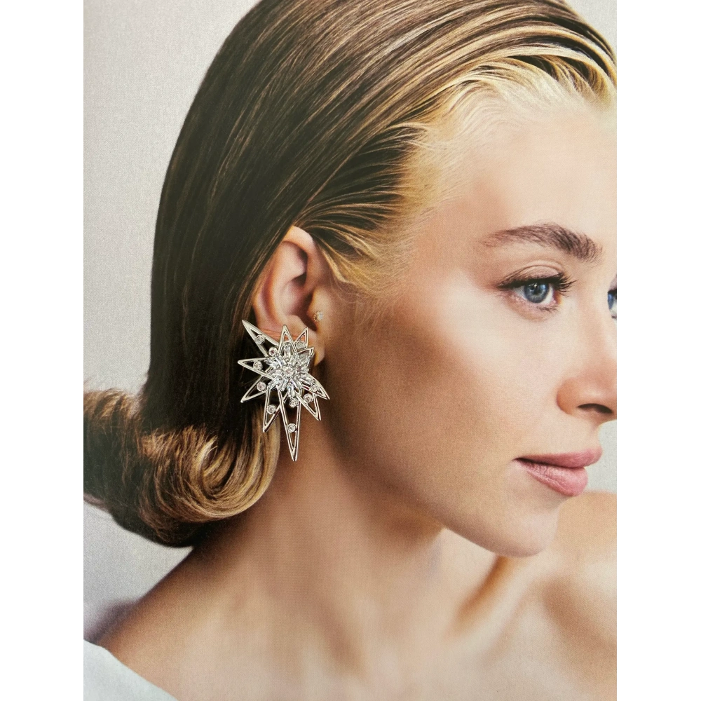 Çelik Taşlı Silver Yıldız Küpe