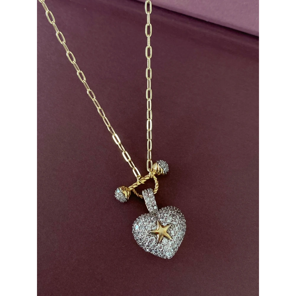 Çelik Vip 3 Boyutlu Kalp Kolye