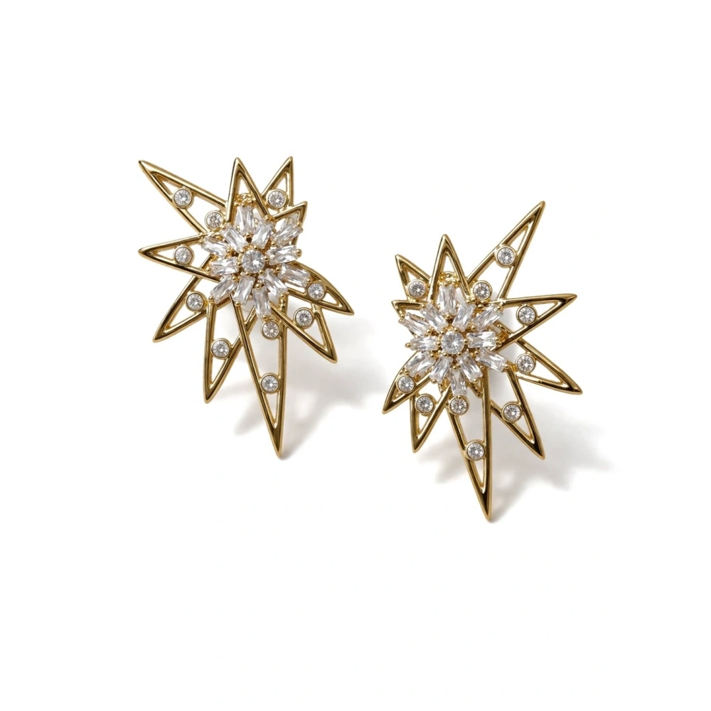 Tasarım Kutup Yıldız Küpe