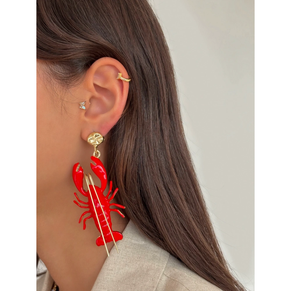 Tasarım Yengeç Küpe