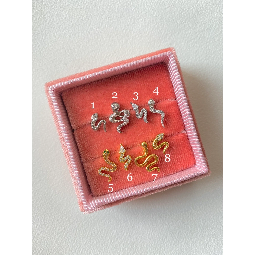 Yılan Piercing & Tragus