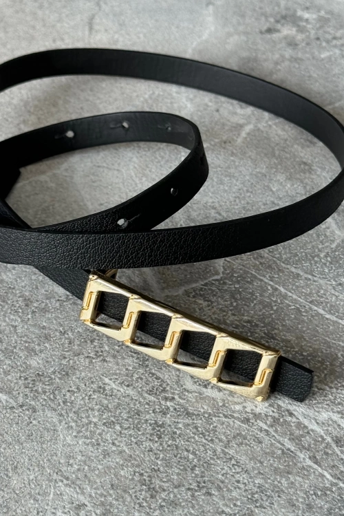 BS 1611 Belt