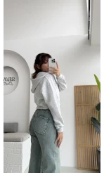 Kısa Fermuarlı Kapüşonlu Hırka - Gri