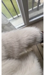 Premium Yakalı Kürk Krem