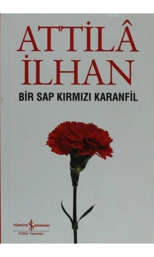 Bir Sap Kırmızı Karanfil Cumhuriyet Söyleşileri (Eylül 96 - Mart 97)