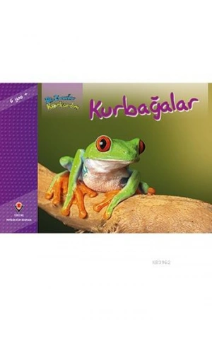 Bir Zamanlar Korkardım - Kurbağalar