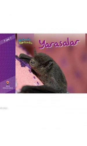 Bir Zamanlar Korkardım - Yarasalar